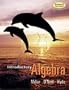 Introductory Algebra