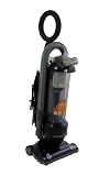 Eureka Pet Lover Oh! Upright Bagless Vacuum, 439AZ