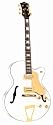 Hollow-Body Electric Jazz Guitar