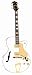 Search : Hollow-Body Electric Jazz Guitar