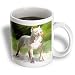 Dogs Pitbull - American Pit Bull Terrier - Mugs