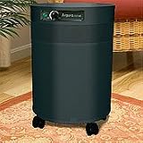 Airpura T600 Tobacco Smoke Air Purifier