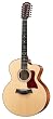 Taylor Guitars 355-CE Jumbo 12 String Acoustic Electric Guitar