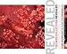 The Web Collection Revealed Standard Edition: Adobe Dreamweaver CS3, Flash CS3 & Fireworks CS3
