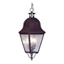 Livex 2557-07 Amwell Outdoor Chain Hung Lantern Bronze