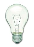 100 watt clear edison screw cap bulb x10