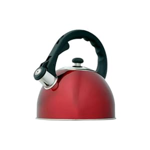 Creative Home Satin Splendor Metallic Tea Kettles