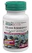 Herbal Actives Coleus Forskohilli Forslean - 60 - Capsule Herbal Actives Coleus Forskohilli Forslean - 60 - Capsule