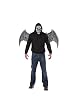 Tormenter Mask & Wings (Black/White;One Size)