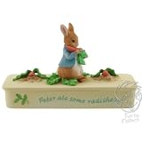 Beatrix Potter Peter ATE Radishes Covered Box by Beatrix Potter Peter Rabbit