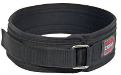 Power Systems 4 in Nylon Belt