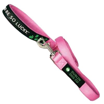 Dublin Dog Nylon Leash, 5 Feet Long, 5/8 Inches Wide, Pink