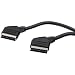 Bulk - SCART 03 - C�ble P�ritel 21p Connectes