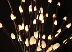 Light Garden Natural Pussy Williow 48 light- 40 Tall-Battery Operated