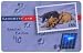 Collectible Phone Card: $10. Cat / Dog Post Stamp Special Edition #017002 Exp. 12/31/00 USED