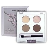 Anastasia Brows in Bloom: Brunette