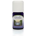 Oshadhi Jasmine absolute India (1 ml )