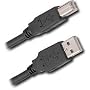 Adorama USB 2.0 A to B Cable, 10' Long
