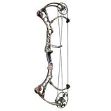 Bear Bow Carnage Right Hand Realtree APG HD 70lb