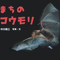 まちのコウモリ (ふしぎいっぱい写真絵本)