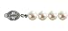 White 6.5-7mm Single Strand AS1R1 Cultured Pearl Bracelet w. 14k Gold Clasp 7" - Dahlia Classic Collection