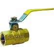 Mueller/B & K 107-828 Brass Full Port Packing Gland Ball Valve F.I.P
