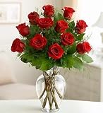 Flowers - Rose Elegance Premium Long Stem Red Roses - One Dozen