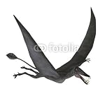 Wallmonkeys Peel and Stick Wall Decals - Dorygnathus Flying - 18W x 15H Removable Graphic