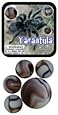 Mega Marbles Tarantula