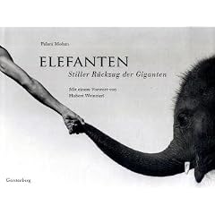Elefanten: Stiller R�ckzug der Giganten