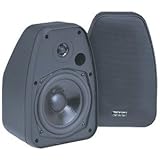 Bic America Adatto Dv52Si Adatto Indoor/Outdoor Speakers (Black)