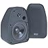 Bic America Adatto Dv52Si Adatto Indoor/Outdoor Speakers (Black)