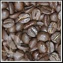 Organic Honduran SHG Marcaia Coffee Beans - 5lb Bag