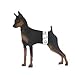 Wiki Wags Brand 12 Extra Small Disposable Male Dog Wraps (Waist 6