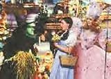 Dorothy Wicked Witch and Glenda Photo Magnet