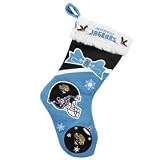 Jacksonville Jaguars Stocking - 17'' Color Block 2010