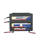 Buy Onyx 240 AC DC Dual NiCd NiMH Pk Chgr w 2 Backlit LCDs DTXP4240 by Duratrax