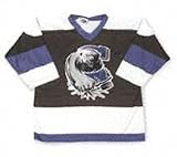 Checkers ECHL Hockey Jersey