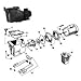Hayward Super Pump Hand Knob Kit SPX1600PN