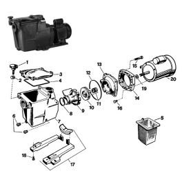 Hayward SPX1600R Diffuser Gasket Replacement for Select Hayward Pumps