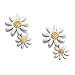 Silver and Gold Plated Daisy Shaped Earrings