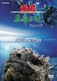 Equator -赤道- ガラパゴス 海流の魔術
