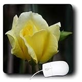 WhiteOak Photography Floral Prints - A yellow Rose - Mouse Pads
