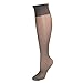 Hanes Women's Plus Size Nylon Sheer Knee High Socks (Pack of 4)