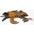 Ty Beanie Babies - Claude the Crab Ty Dye (Retired)
