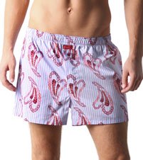 2xist Low Rise Light Blue Paisley Heart Stripe Print Woven Boxer 9957BLU - Buy 2xist Low Rise Light Blue Paisley Heart Stripe Print Woven Boxer 9957BLU - Purchase 2xist Low Rise Light Blue Paisley Heart Stripe Print Woven Boxer 9957BLU (2(x)ist, 2(x)ist Sleepwear, 2(x)ist Mens Sleepwear, Apparel, Departments, Men, Sleepwear & Robes, Mens Sleepwear, Pajamas, Pajama Sets, Mens Pajamas, Mens Pajama Sets)
