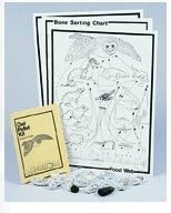 Classroom Owl Pellet Kit