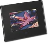 Insignia NS-DPF7WA-09 - Digital photo frame - flash 128 MB - 7 - 480 x 234 - black