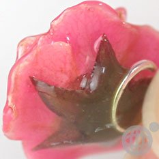 Cover image : 美しい生花で作られた誕生花**リアルフラワー携帯ストラップ(7月/なでしこ)