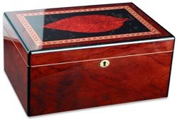 Childrens Toyshop  Kitchen & Housewares : Adorini Humidor Venezia Grande